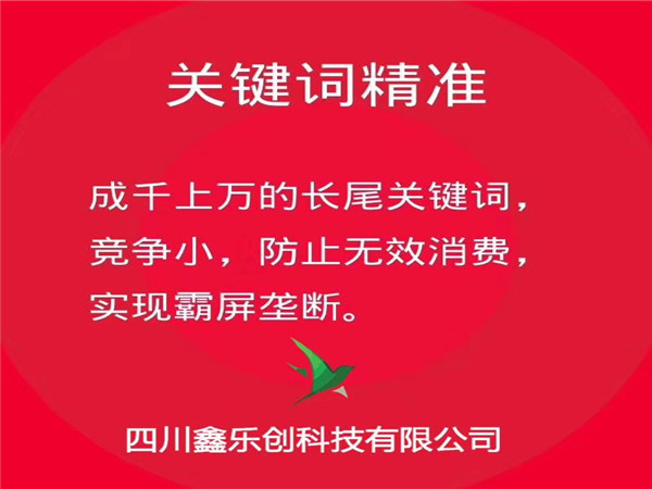 德陽高端網(wǎng)絡推廣